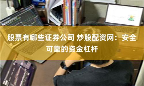 股票有哪些证券公司 炒股配资网：安全可靠的资金杠杆